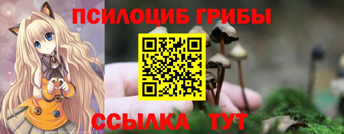Галлюциногенные грибы прущие грибы  купить наркоту  Краснотурьинск  Вход с VPN 